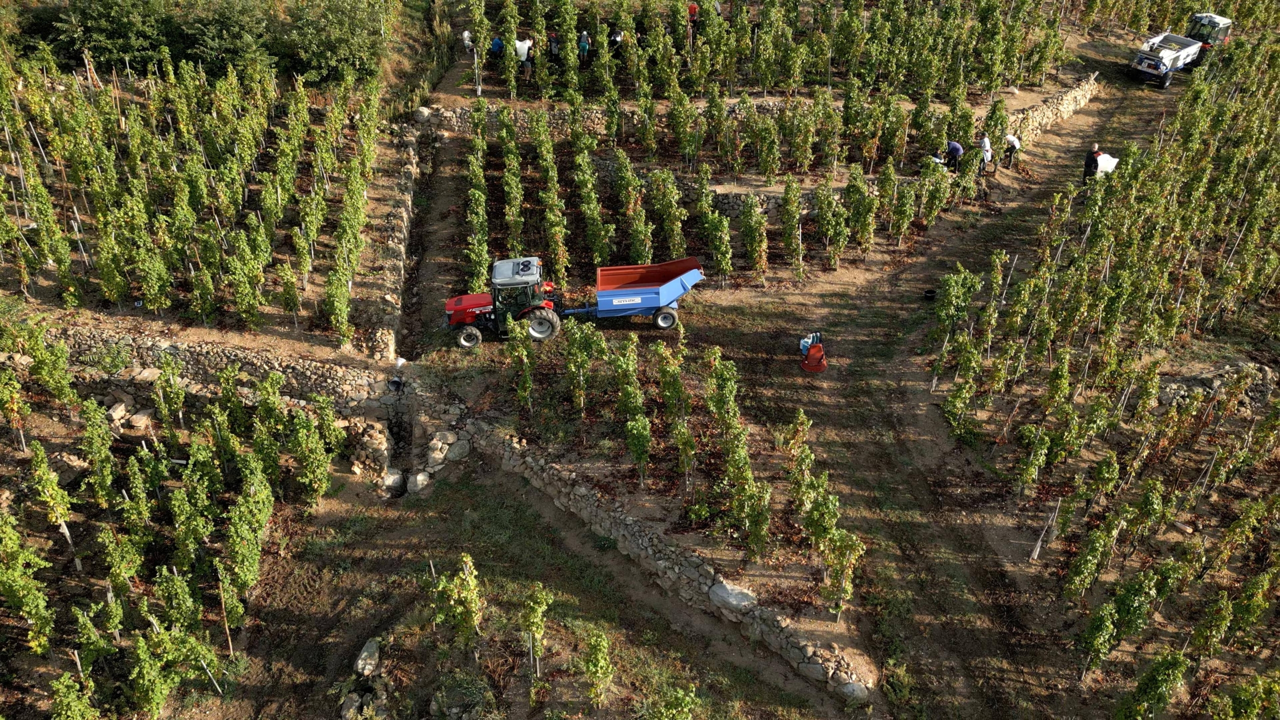 Maison Christophe Pichon