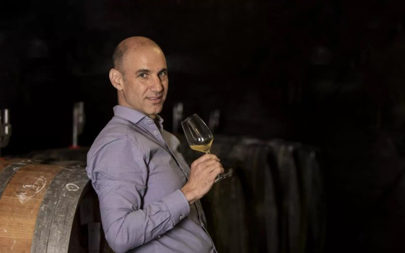 weingut peter lauer